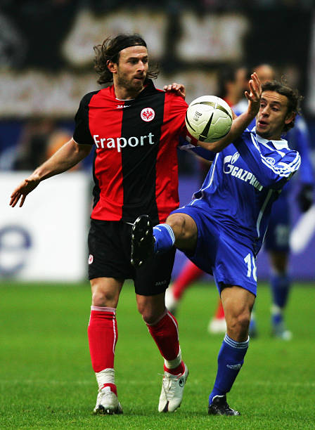 草地掷球的 草地掷球的